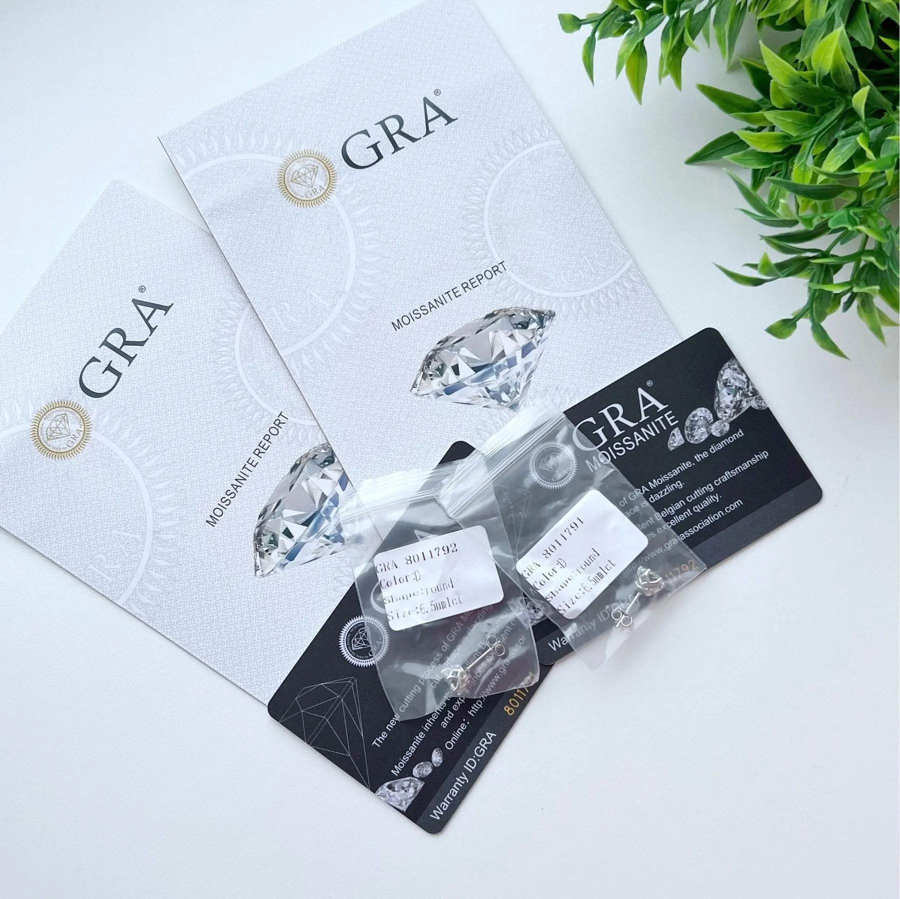 S1de75cea56424022865cec04d6576c89Q