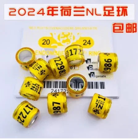 S20909806198c4e0c9a66d7c2edb55125F