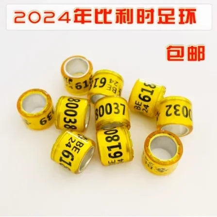 S9024f7488bbc41cdab2dbf22161814d1F